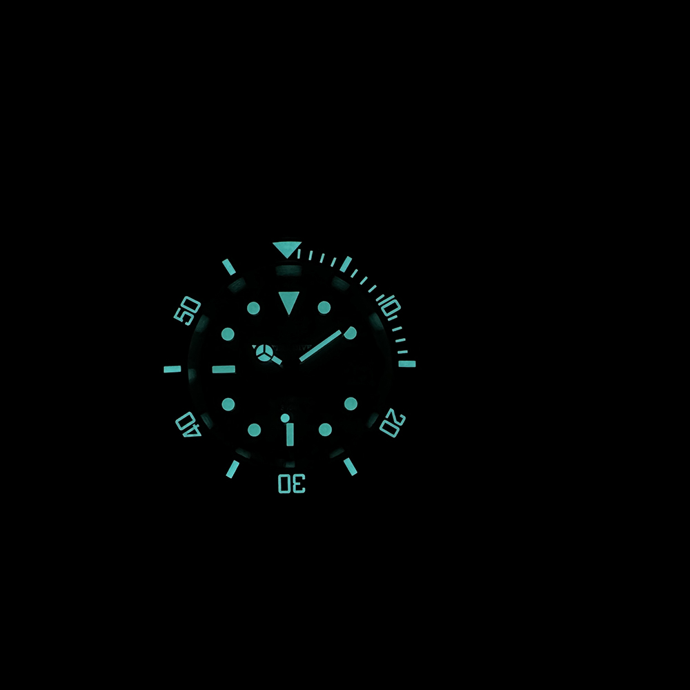 Steeldive Nuovo Orologio SD195 - Seiko Watch Prospex recensione e prezzo
